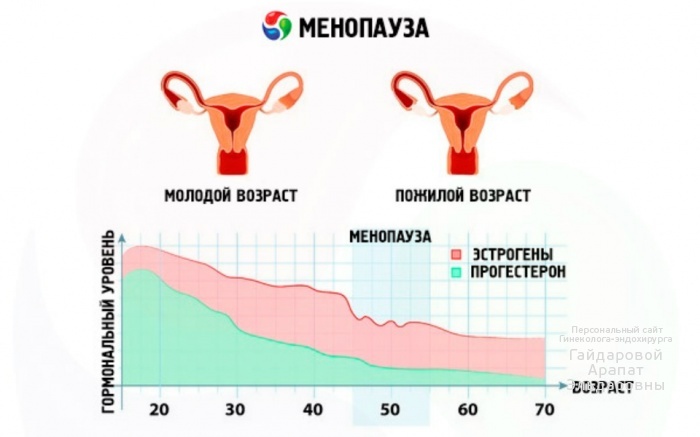 Менопауза у женщин: 